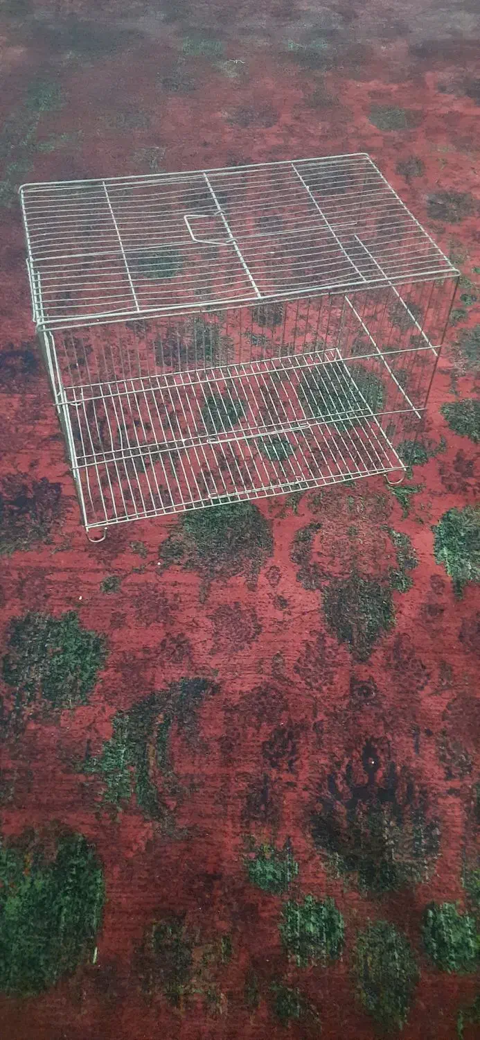 قفس پرنده|لوازم جانبی حیوانات|کرج, حیدرآباد|دیوار