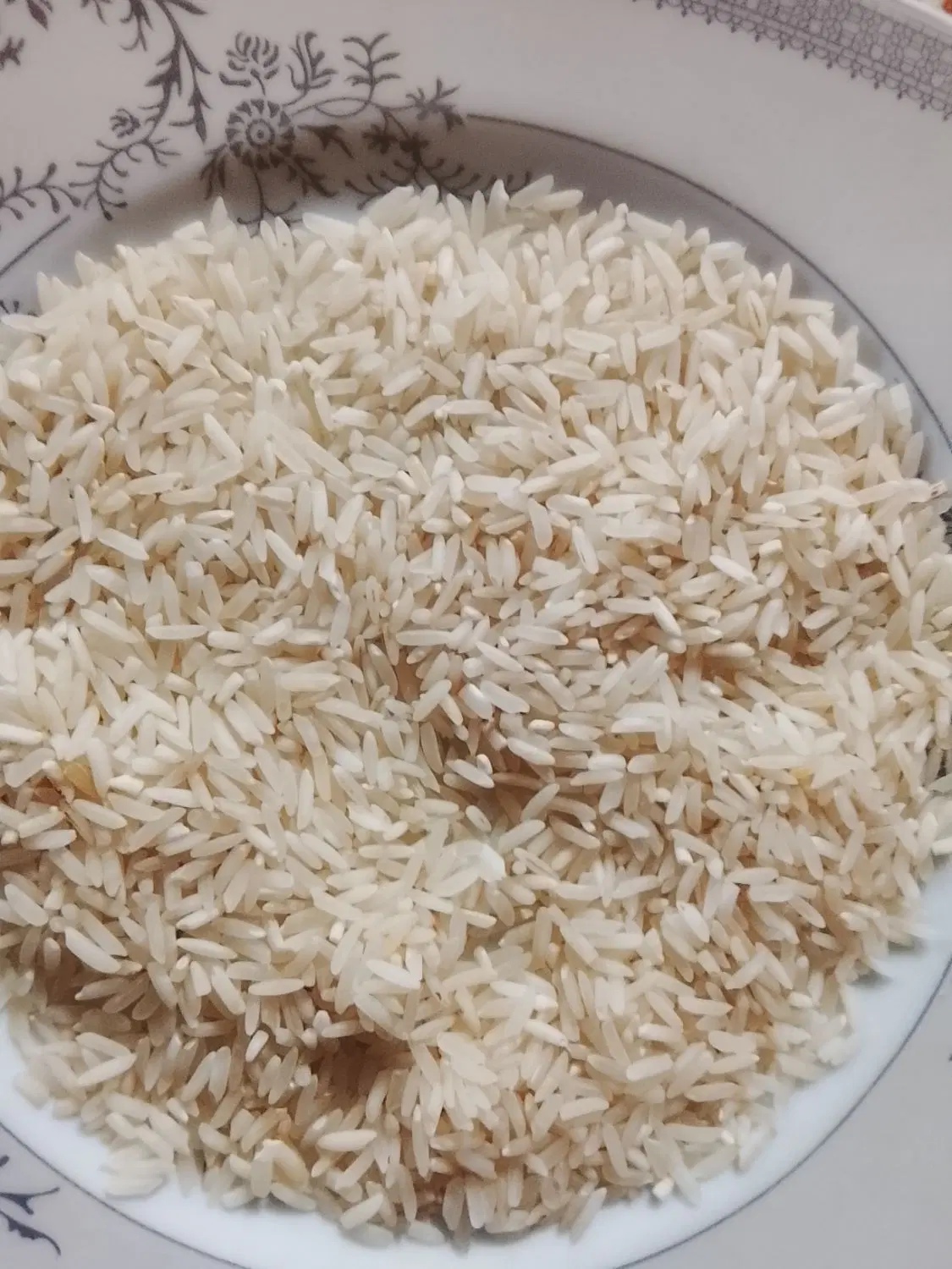 برنج|خوردنی و آشامیدنی|گرگان, |دیوار