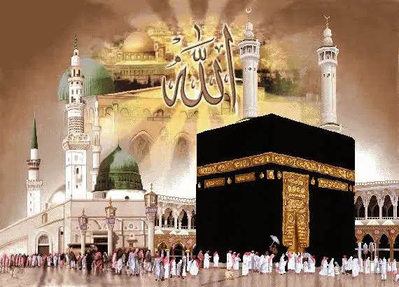فیش حج|تور و چارتر|رضویه, |دیوار