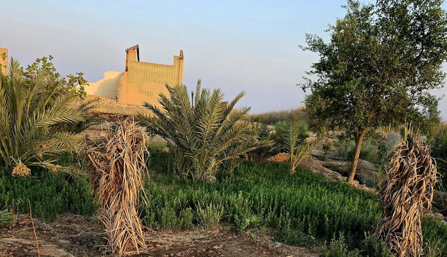 یونجه|عمده‌فروشی|آبادان, |دیوار