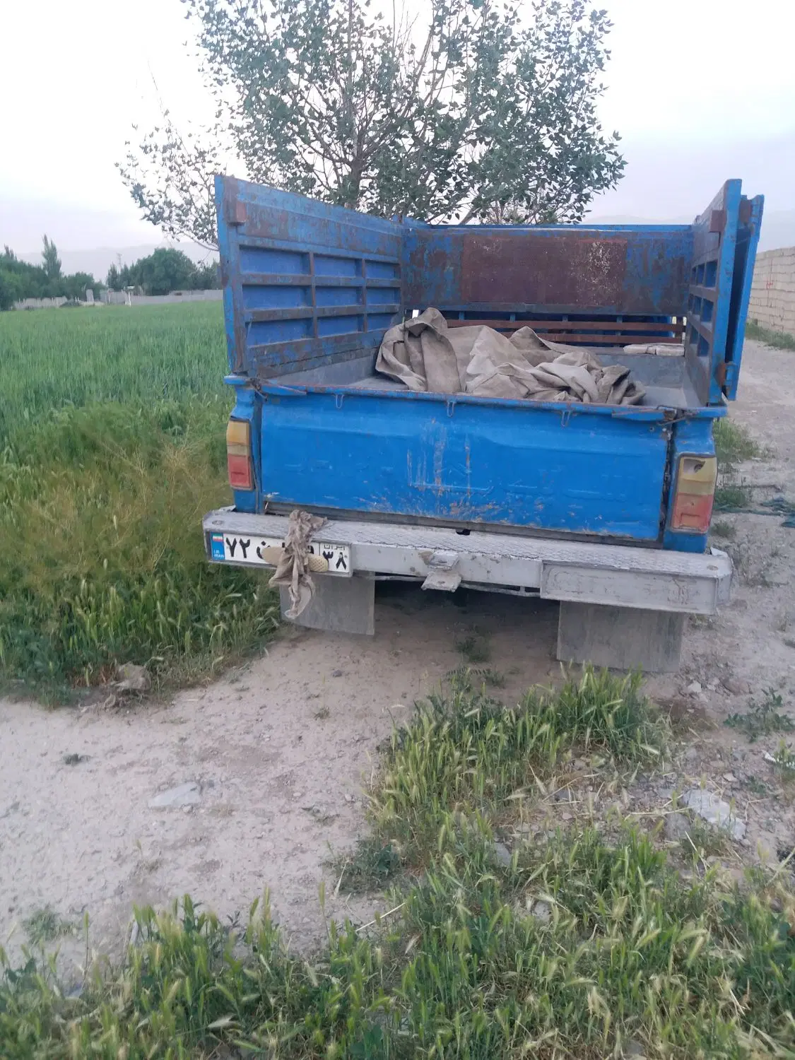 نیسان ۷۶|خودرو سواری و وانت|تنکمان, |دیوار
