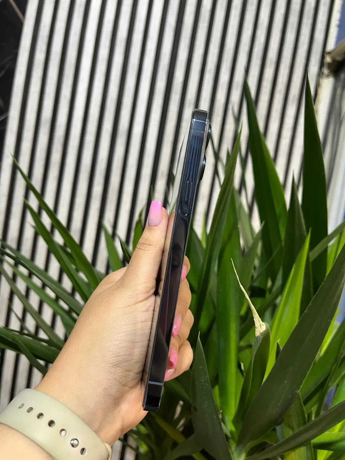 iPhone 13proMax|موبایل|مشهد, بهشت|دیوار