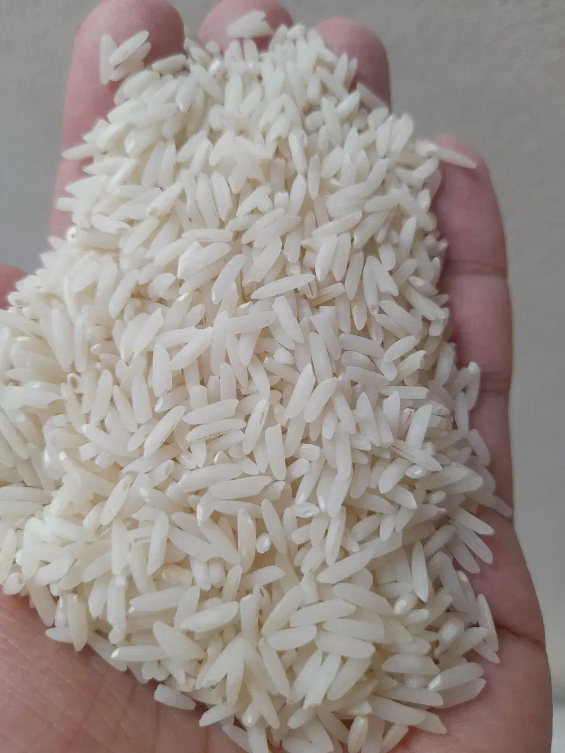 برنج طارم هاشمی خالص بشرط|خوردنی و آشامیدنی|ساری, |دیوار