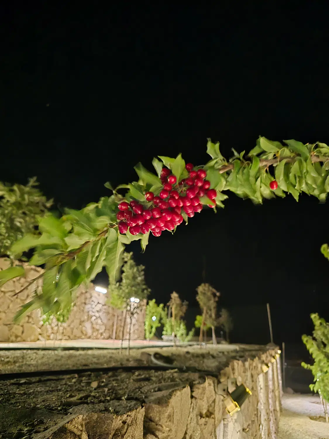 تصویر 6