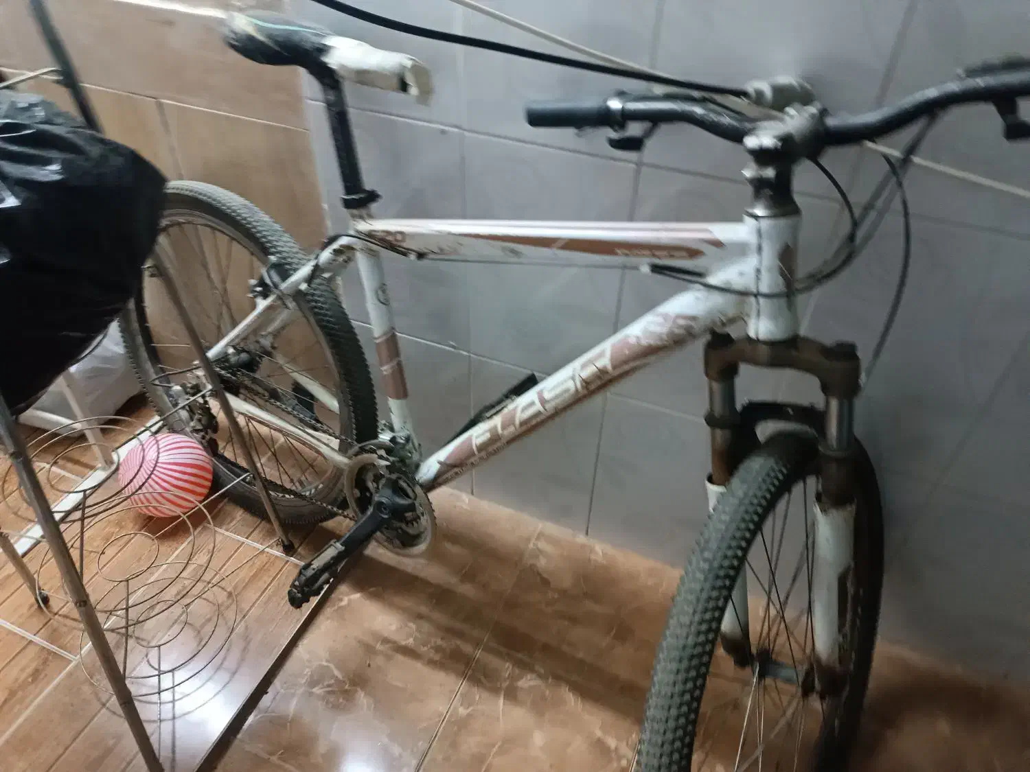 دوچرخه|دوچرخه، اسکیت، اسکوتر|تربت جام, والفجر|دیوار