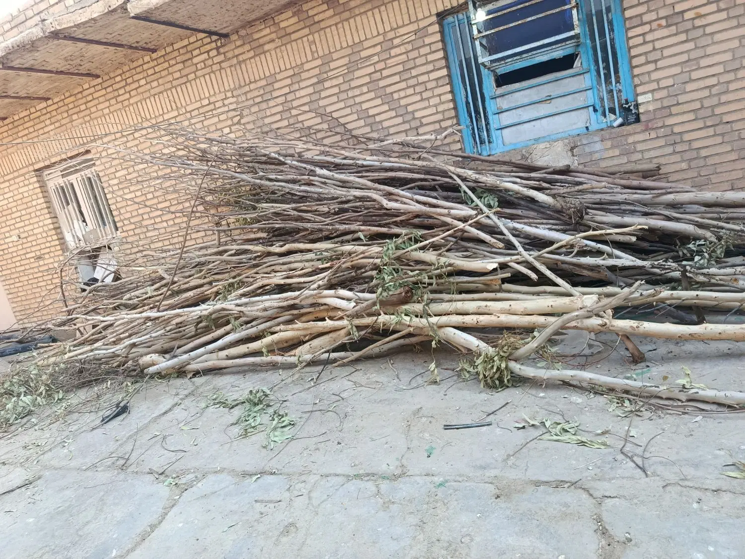 چوبب|صنایع دستی و سایر لوازم تزئینی|شوشتر, |دیوار