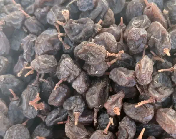 کشمش|خوردنی و آشامیدنی|سراب, |دیوار
