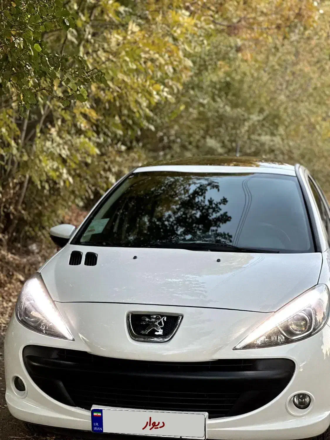 ۲۰۷ پانا|خودرو سواری و وانت|ابهر, |دیوار