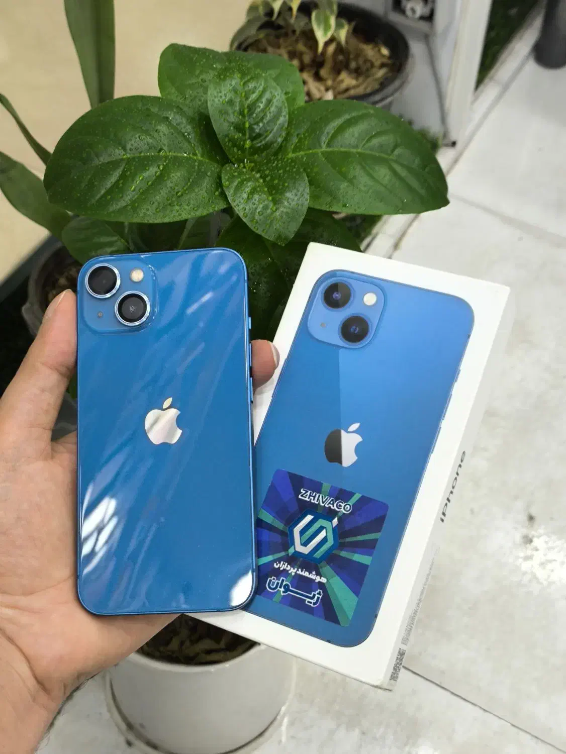 iPhone 13|موبایل|بندرعباس, |دیوار