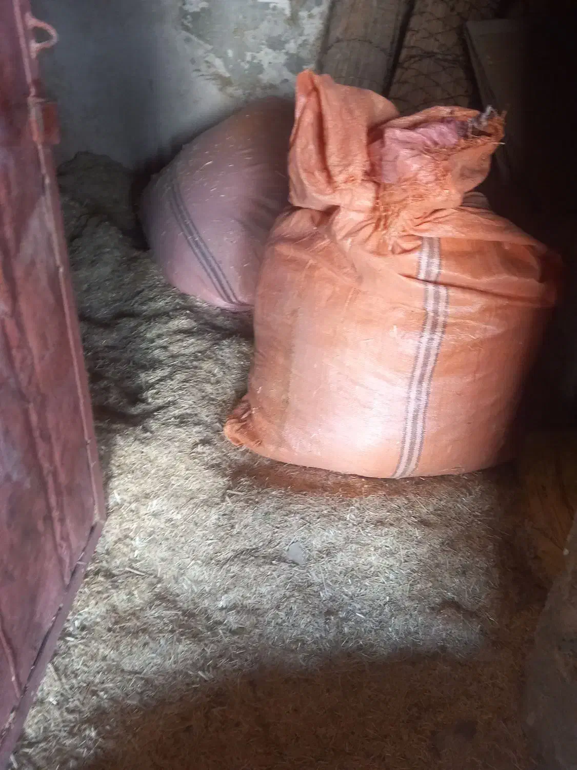 کاه|لوازم جانبی حیوانات|سرپل ذهاب, |دیوار