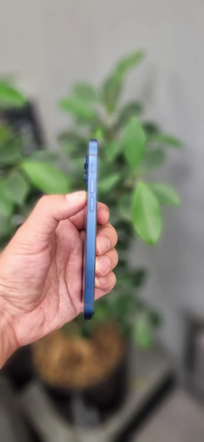 iPhone 12 normal|موبایل|تهران, جردن|دیوار