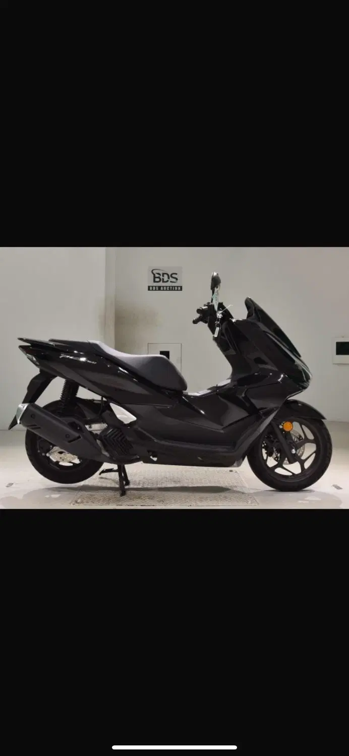 pcx 2025|موتورسیکلت|بندر گناوه, |دیوار