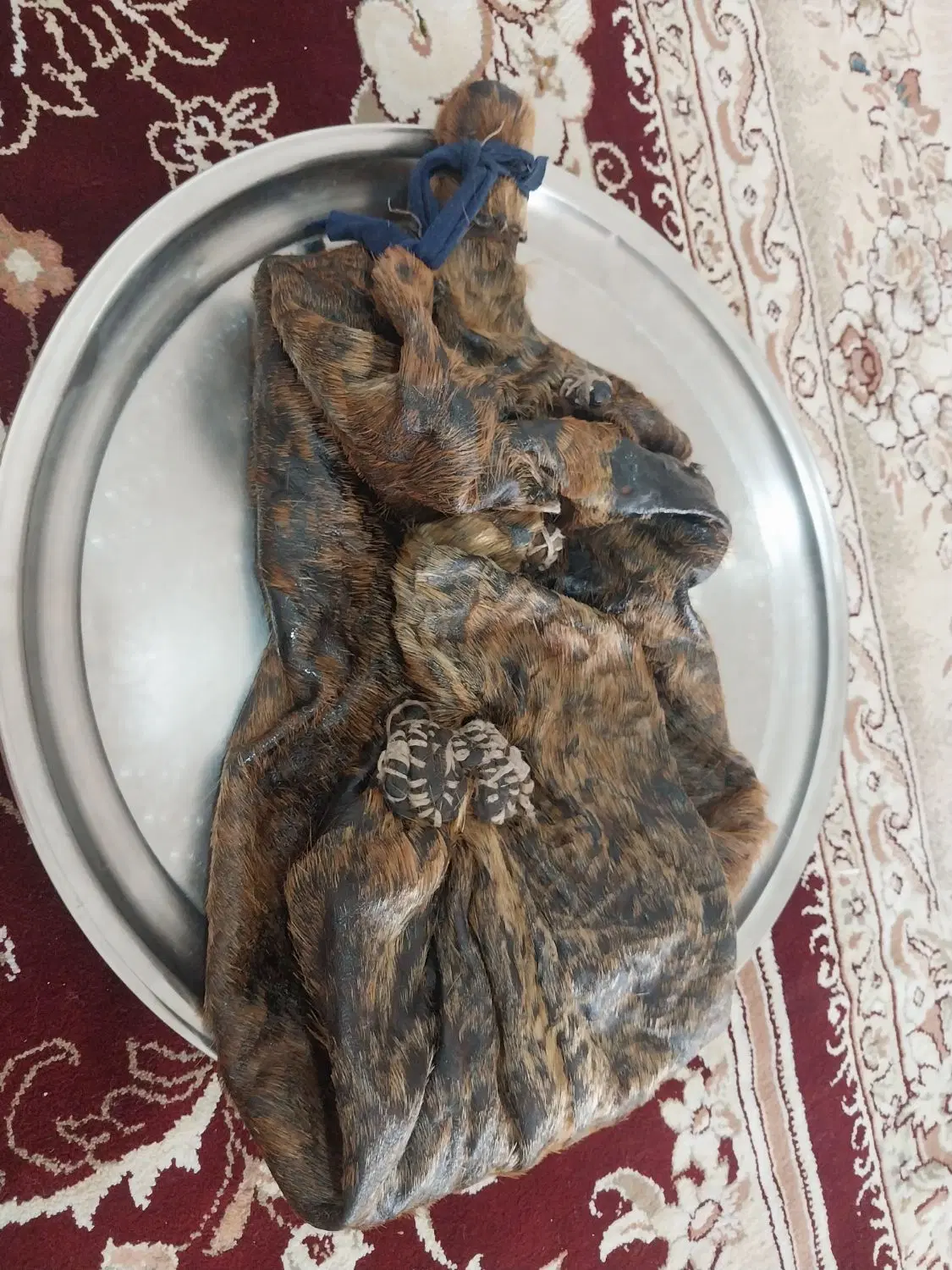 هیزه|خوردنی و آشامیدنی|معمولان, |دیوار