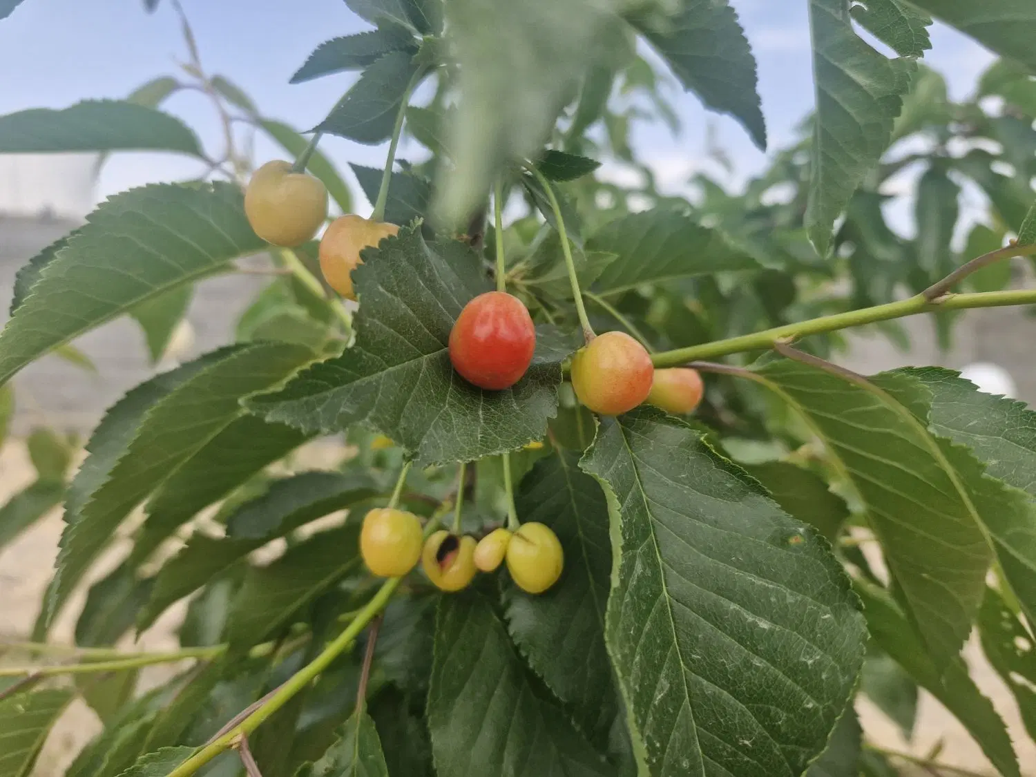 تصویر 4