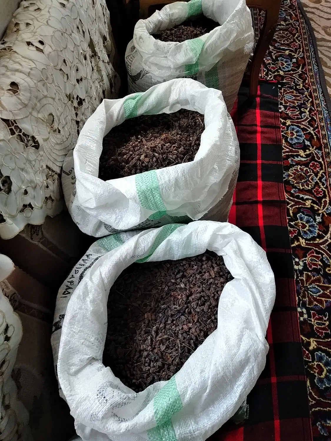 کشمش|خوردنی و آشامیدنی|قم, بنیاد|دیوار