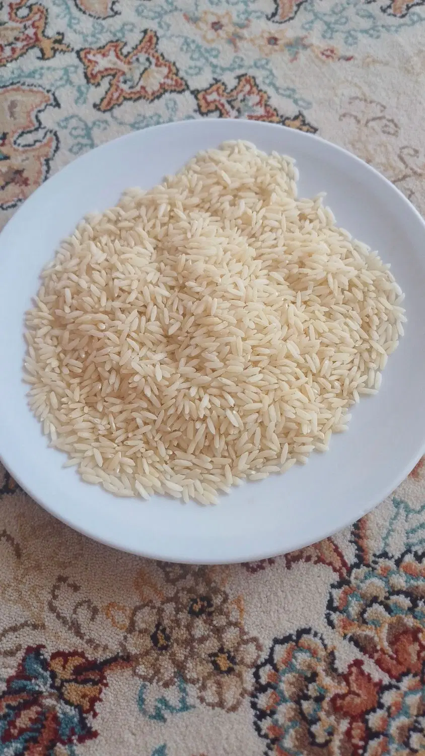 برنج|خوردنی و آشامیدنی|نقده, |دیوار