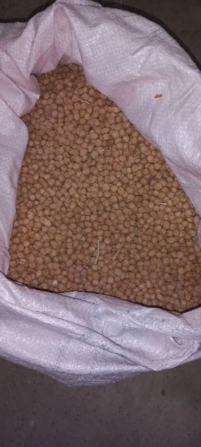 نخود درجه یک|عمدهفروشی|سلطانیه, |دیوار