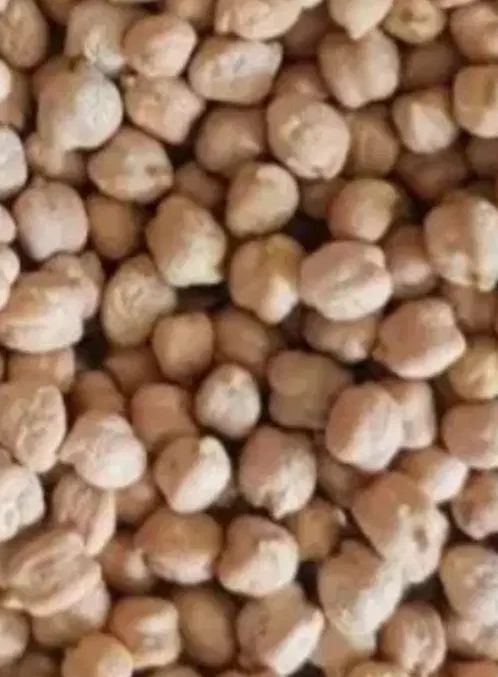 نخود|خوردنی و آشامیدنی|اراک, |دیوار