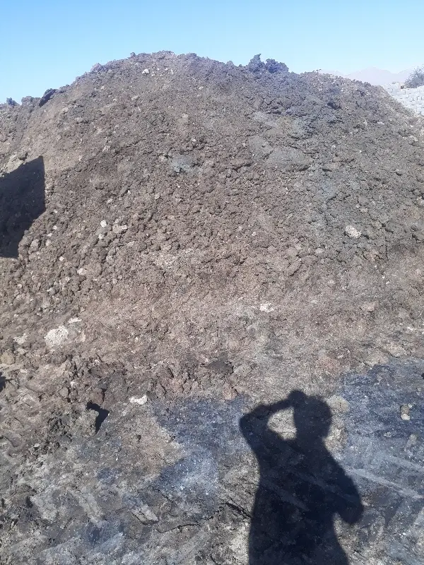 کودگاوی|گل و گیاه طبیعی|مبارکه, |دیوار