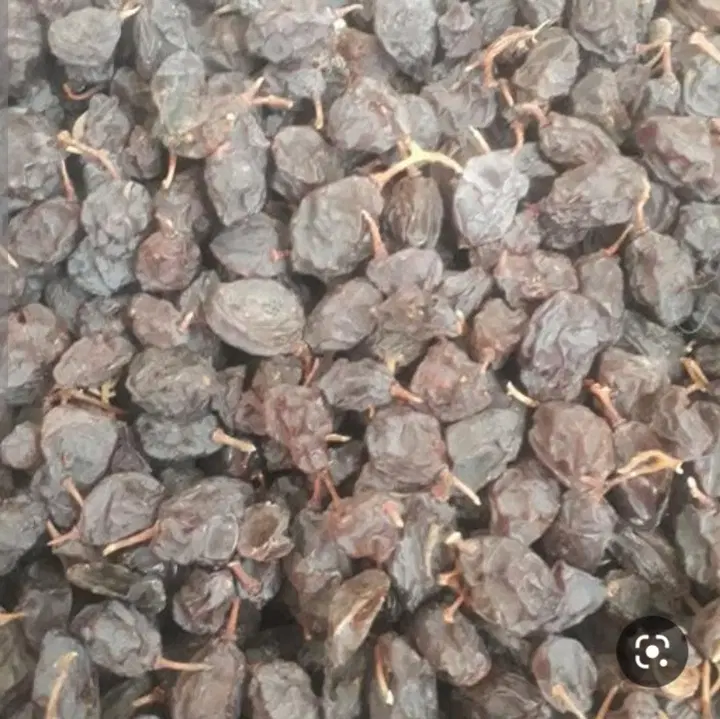 کشمش|عمدهفروشی|فیروزآباد (فارس), |دیوار