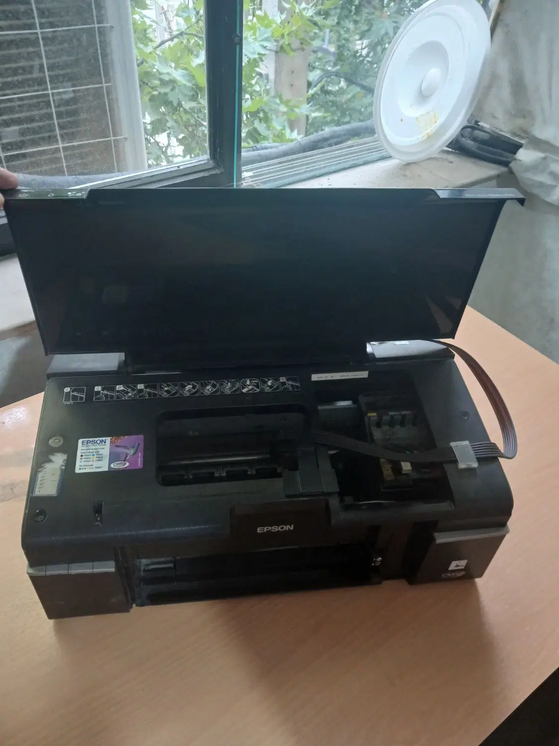 EPSON P50 - 2018|پرینتر، اسکنر، کپی، فکس|گرگان, |دیوار