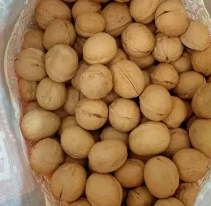 گردو|خوردنی و آشامیدنی|اهواز, گلستان|دیوار