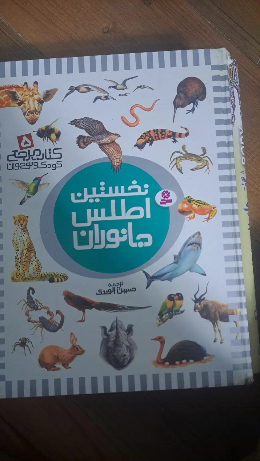 کتاب|کتاب و مجله|اندیشه, اندیشه فاز ۳|دیوار
