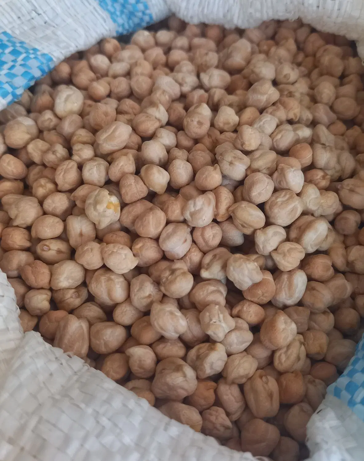 نخود|خوردنی و آشامیدنی|ایوان, |دیوار
