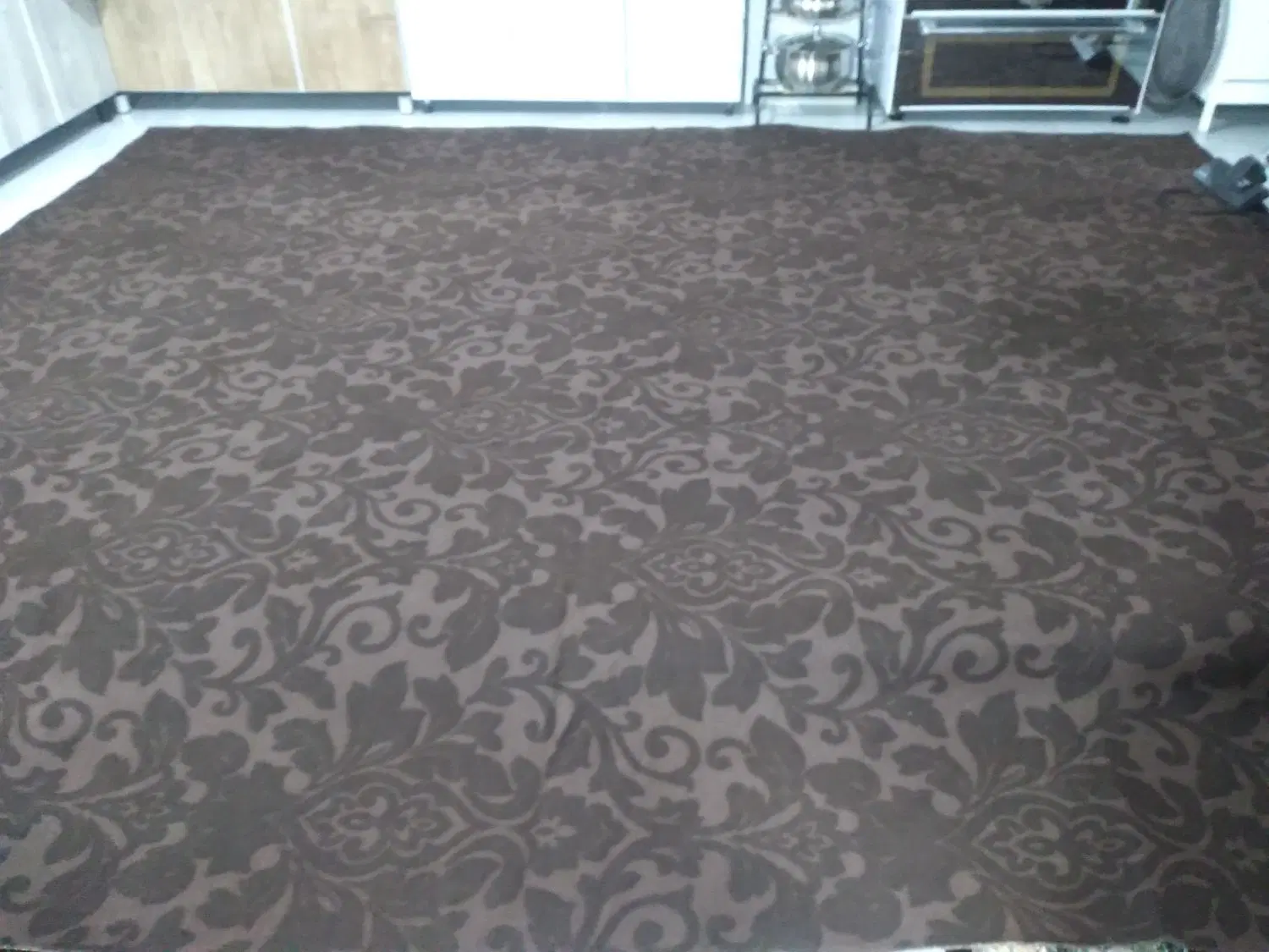 موکت|موکت|صحنه, |دیوار