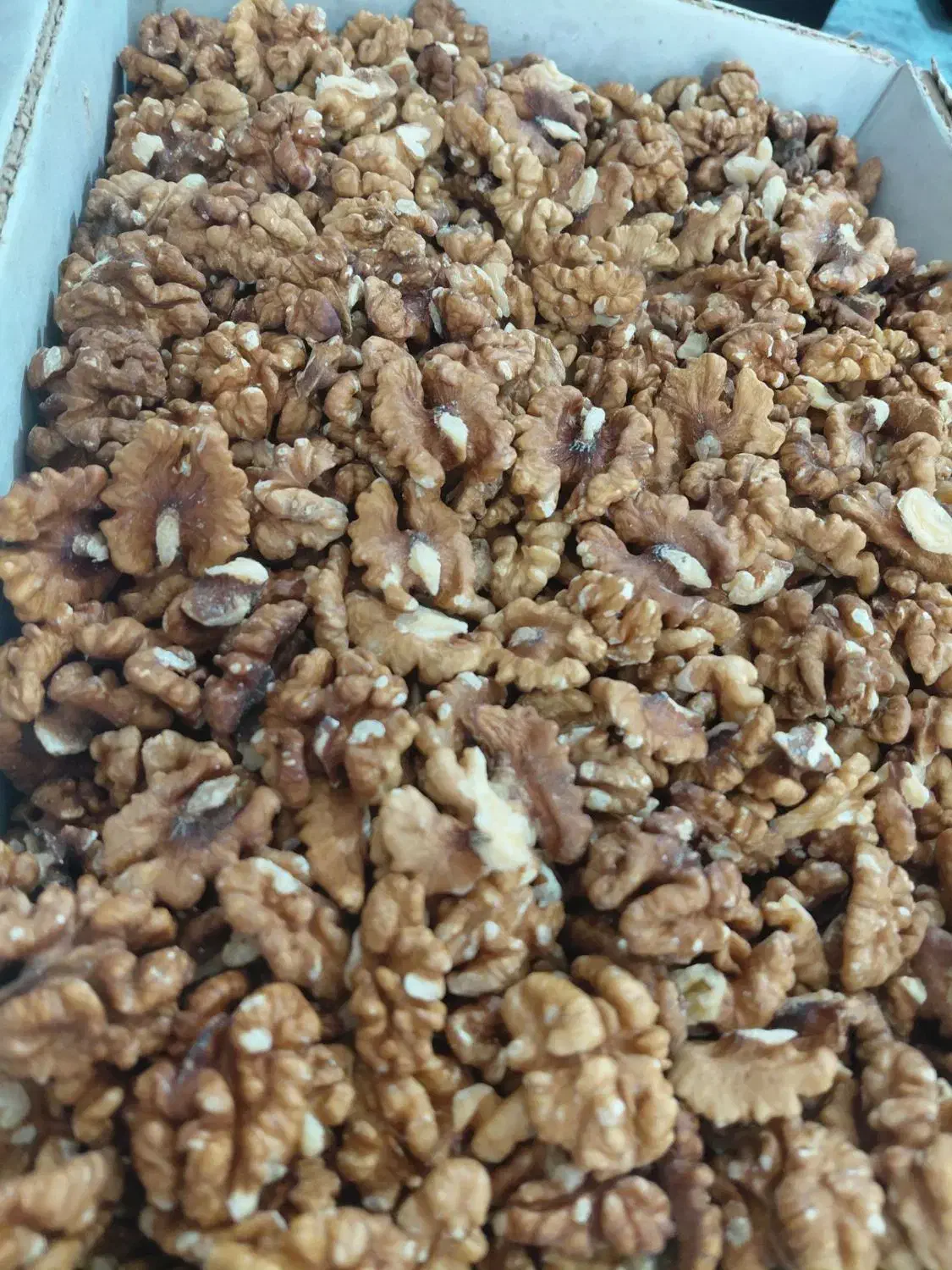 گردو|عمده‌فروشی|قم, شهرک امام حسین|دیوار