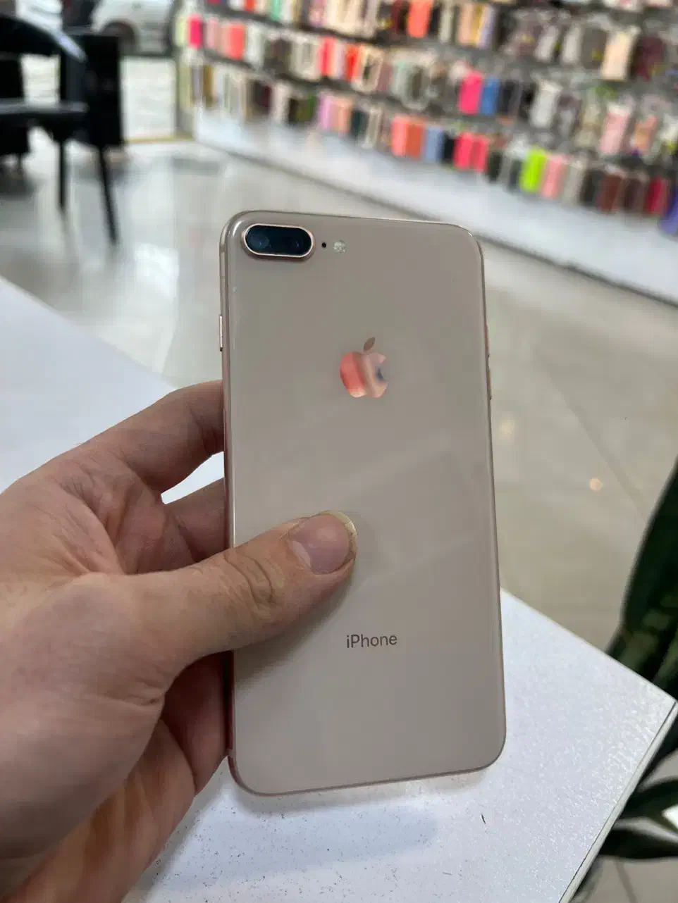 8 plus 256 باطری ۱۰۰|موبایل|رشت, لاکانی|دیوار