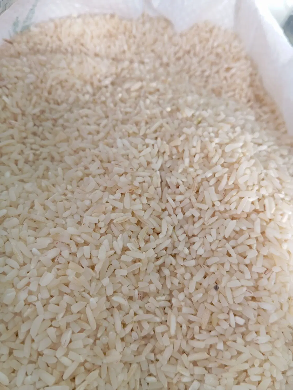 برنجی|خوردنی و آشامیدنی|گرمسار, |دیوار