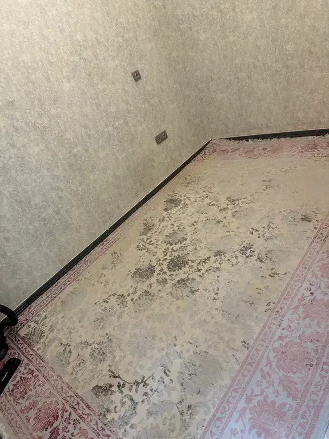 فرش|فرش|گلستان (تهران), |دیوار