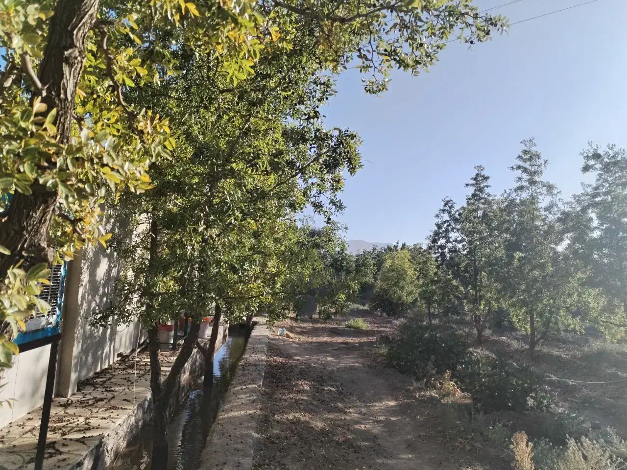 تصویر 2