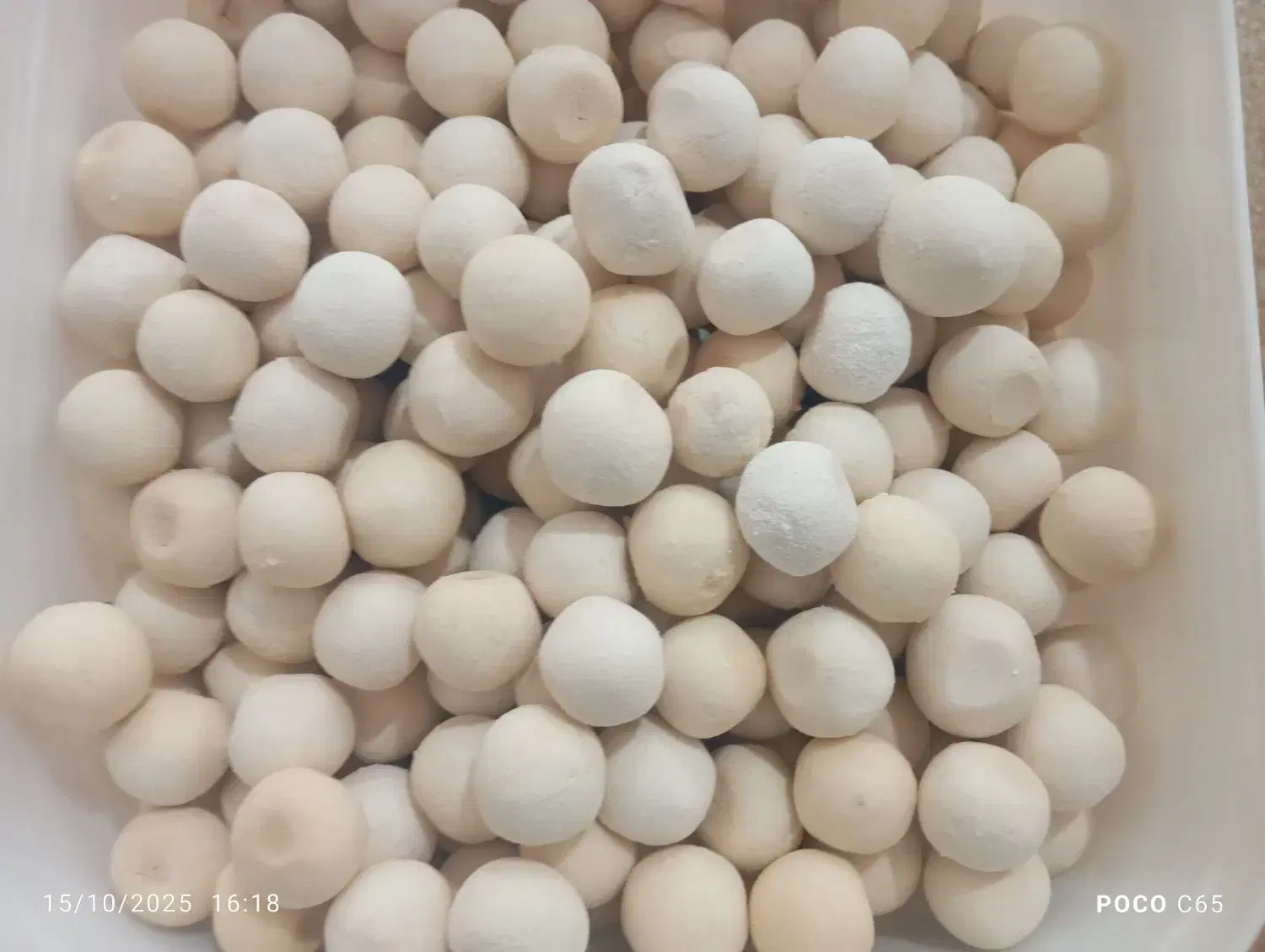 شیر میش|خوردنی و آشامیدنی|شیراز, تلخ داش|دیوار