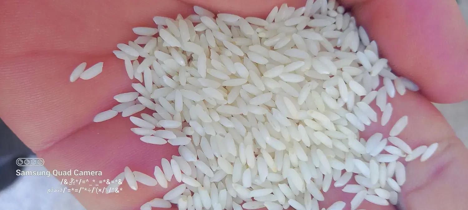 برنج|خوردنی و آشامیدنی|ایذه, |دیوار