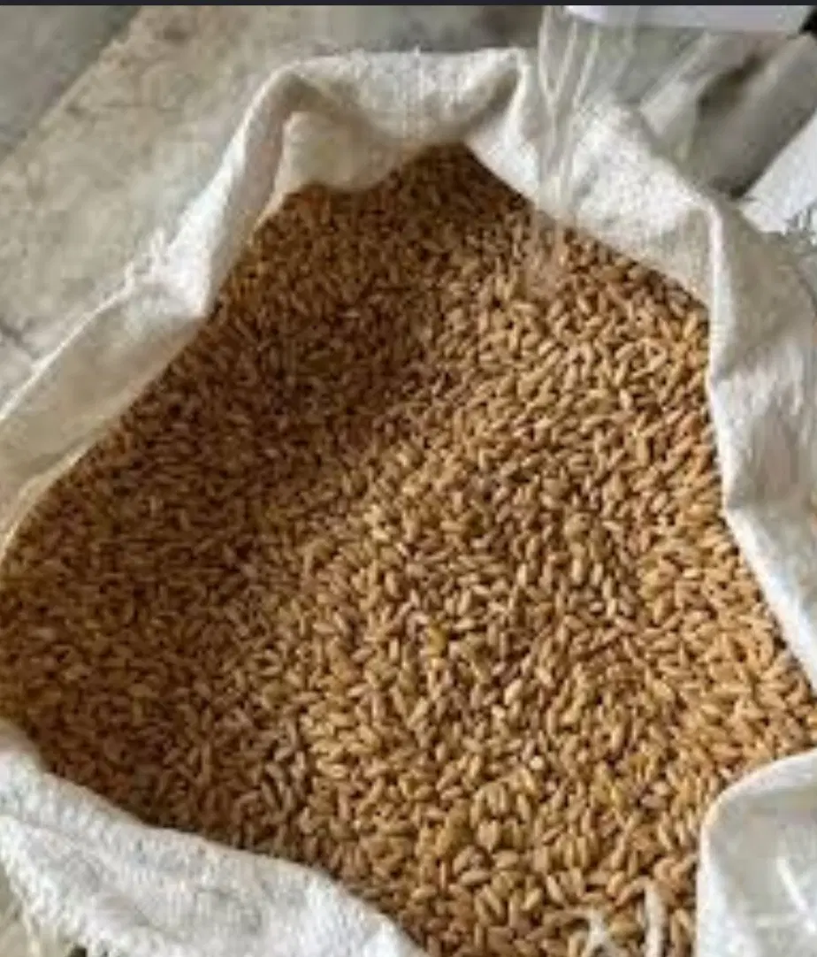 گندم|خوردنی و آشامیدنی|باوی, |دیوار