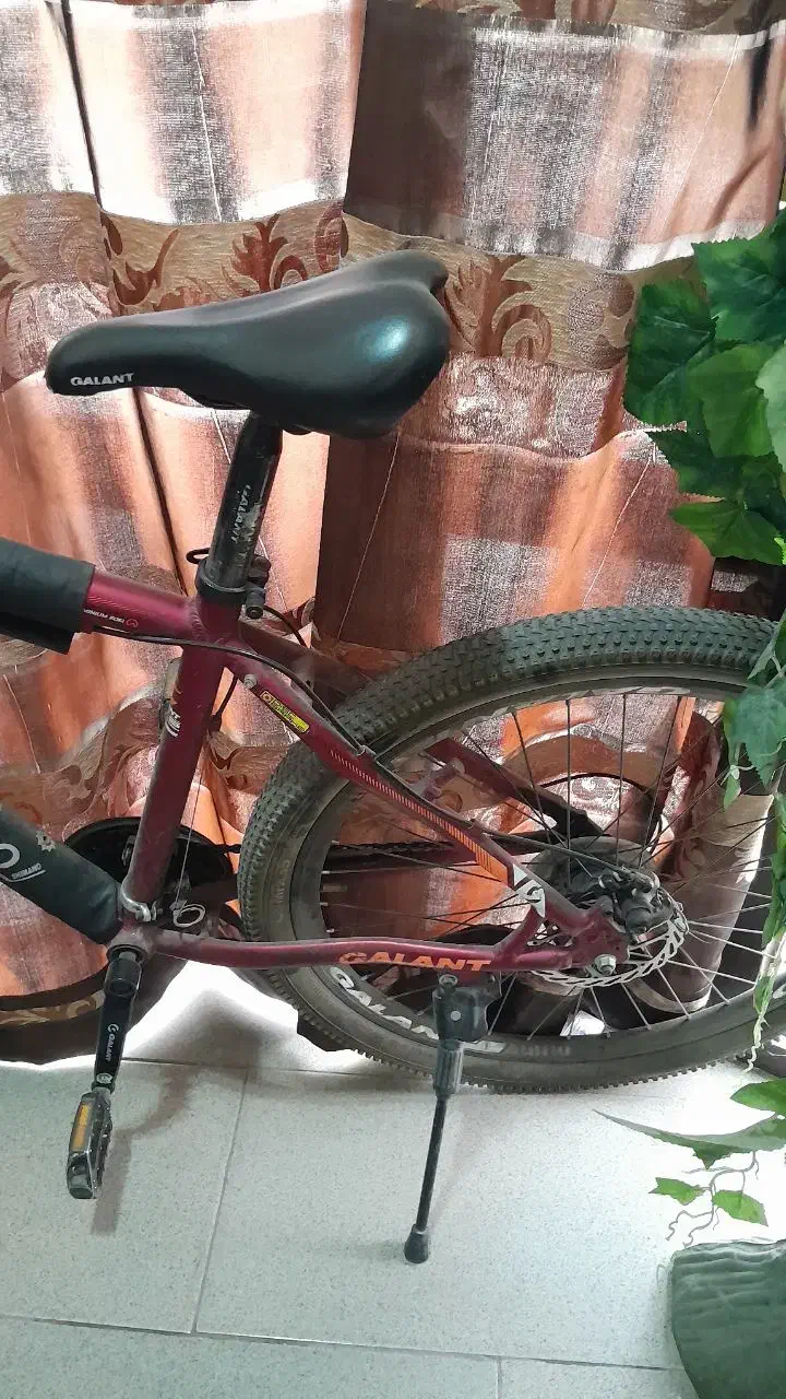 دوچرخه|دوچرخه، اسکیت، اسکوتر|مشهد, ایثارگران|دیوار