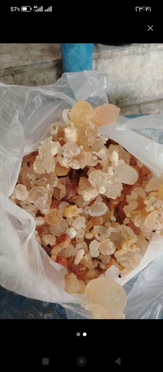 زودو|خوردنی و آشامیدنی|شیراز, احمدآباد|دیوار