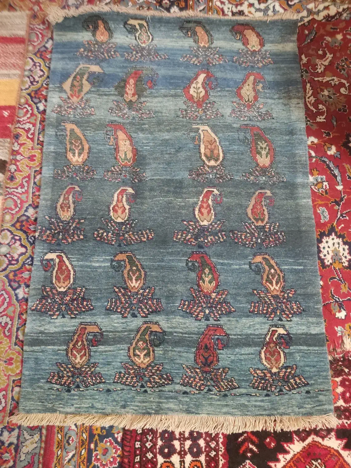 تعدادی گبه ۴ تومن هرتخته|گلیم، جاجیم، گبه|شیراز, شاه قلی بیگی|دیوار