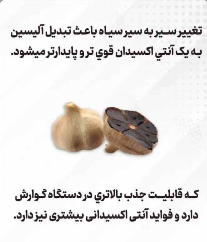 سیر سیاه|خوردنی و آشامیدنی|ری, دولت‌آباد|دیوار