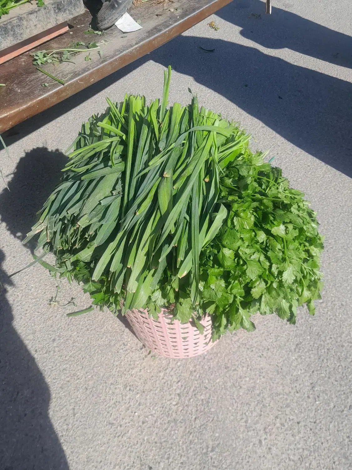 ۱۱۱۱۱|خوردنی و آشامیدنی|نهاوند, |دیوار