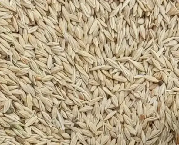 جو و گندم|لوازم جانبی حیوانات|ایوان, |دیوار