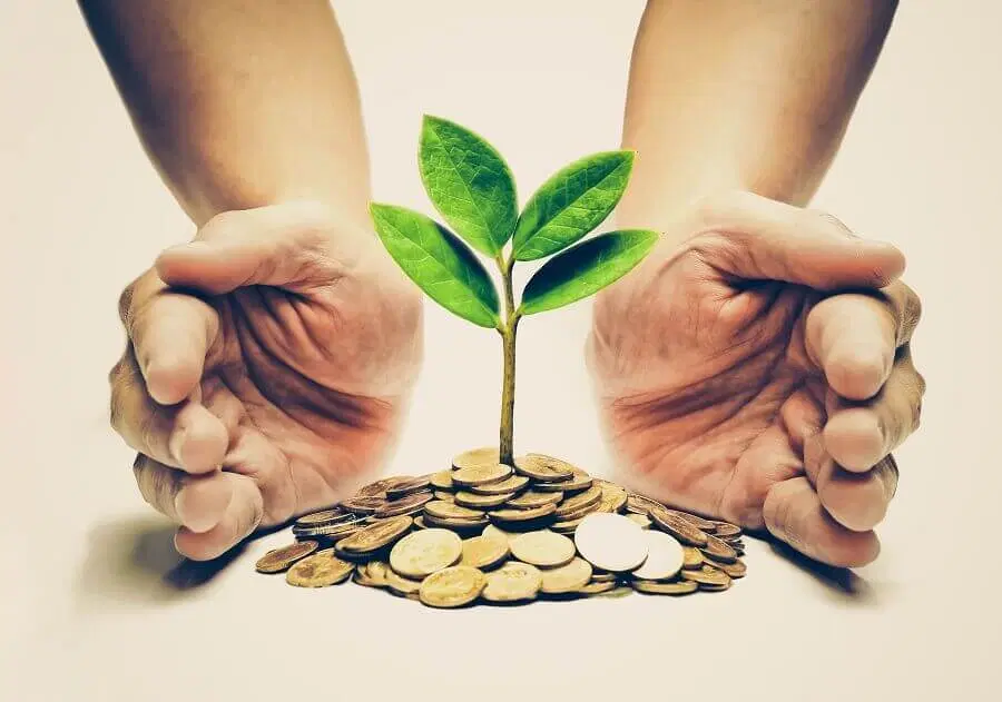 سرمایه|استخدام مالی، حسابداری، حقوقی|همدان, |دیوار