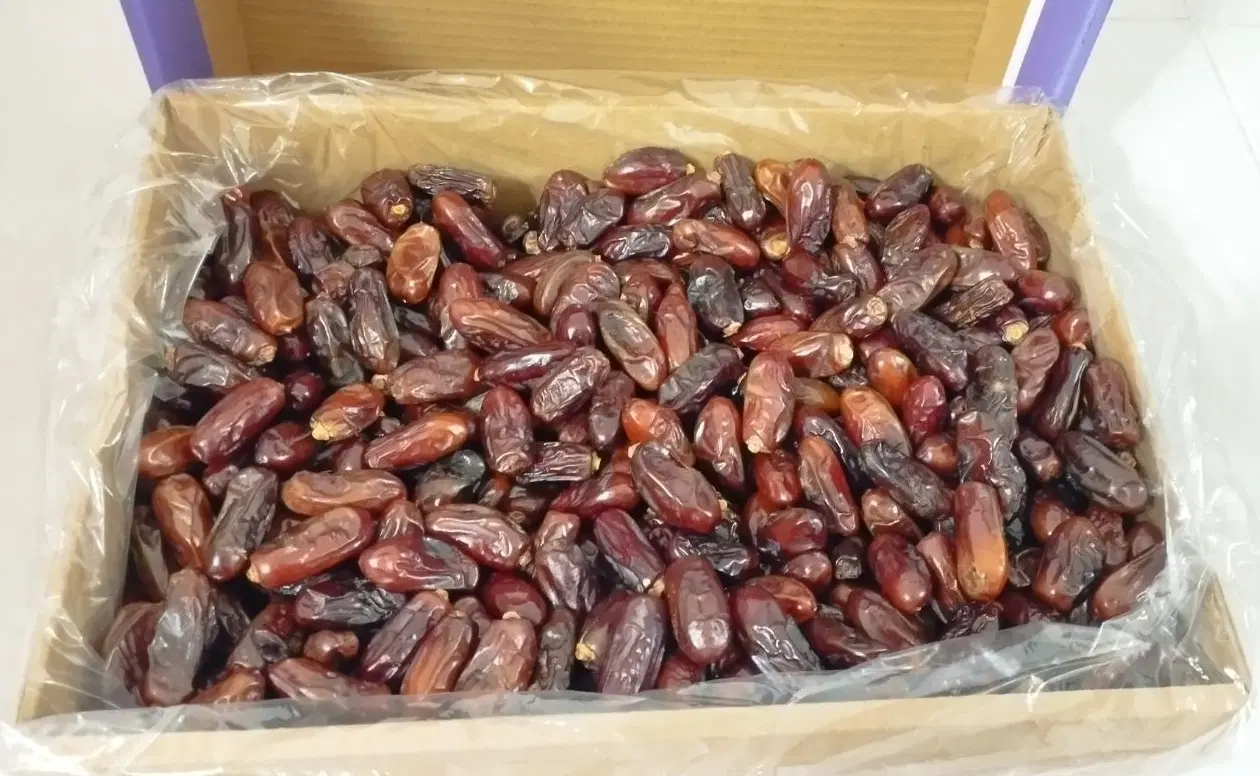 خرما|خوردنی و آشامیدنی|کرج, باغستان|دیوار