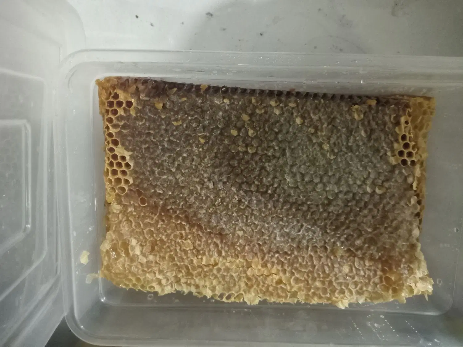 عسل|عمده‌فروشی|خاروانا, |دیوار