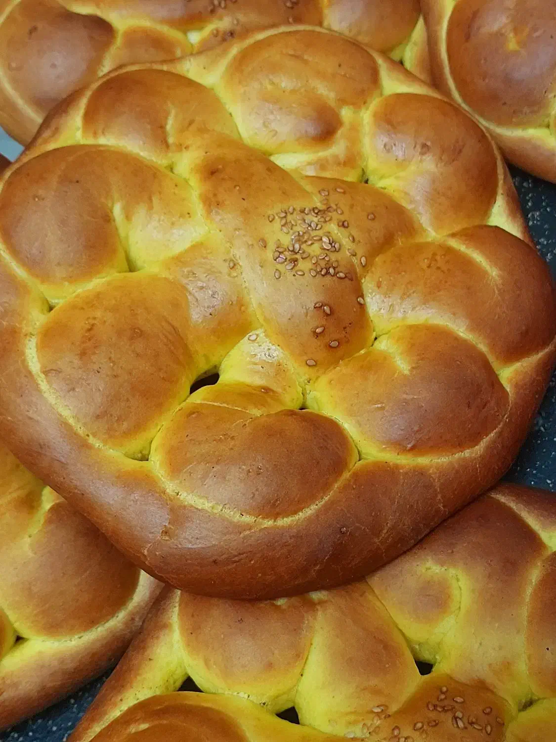 کلوچه خرمایی.نان جو.شیرمال|خوردنی و آشامیدنی|مشهد, ابوذر|دیوار