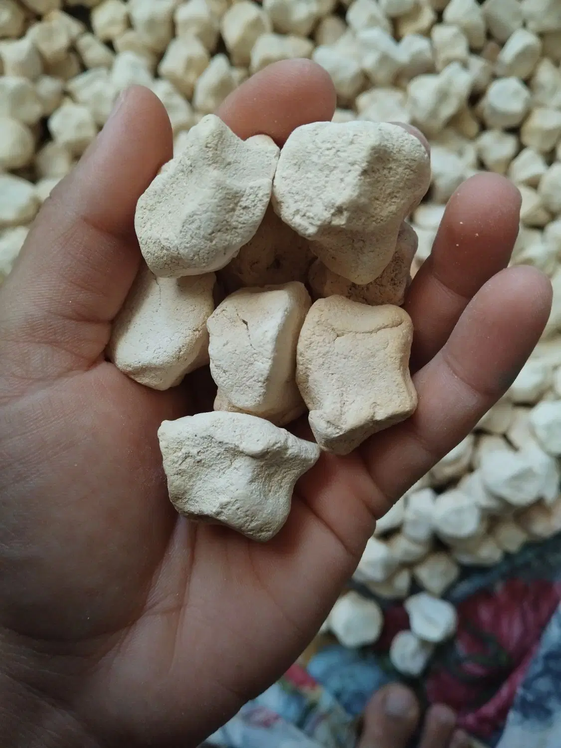 کشک|خوردنی و آشامیدنی|مهریز, |دیوار