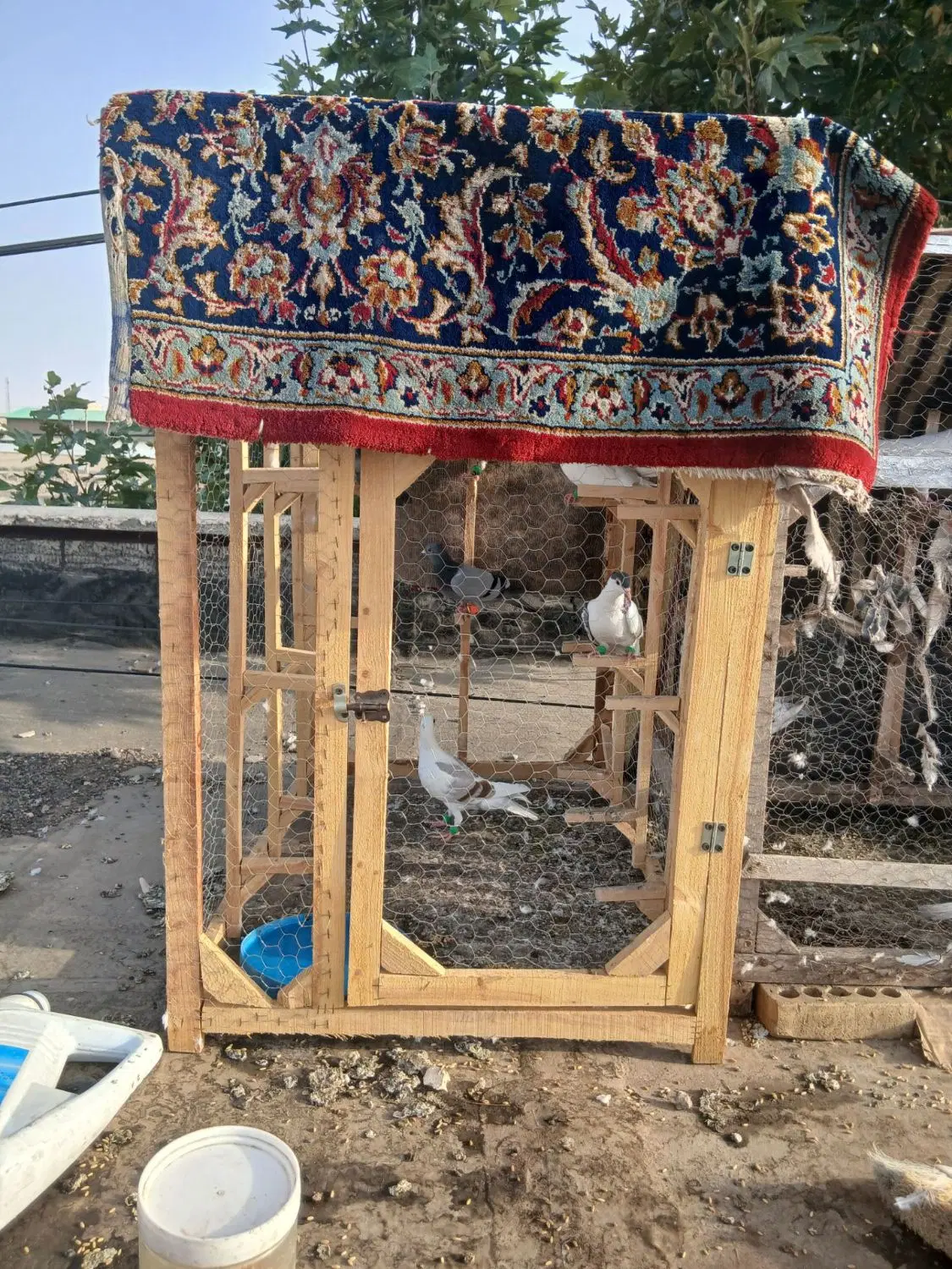 قفس|لوازم جانبی حیوانات|مشهد, کوی دروی|دیوار