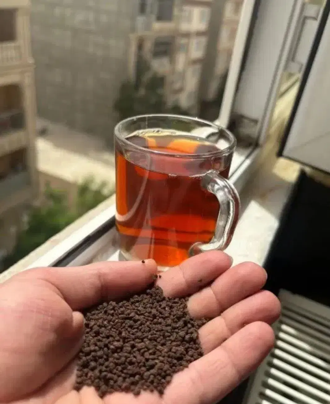 چای|خوردنی و آشامیدنی|نیشابور, میدان حافظ|دیوار
